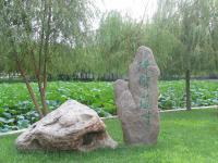 Albums/20060800-China Aug 2006/20060804-Shenyang University/66